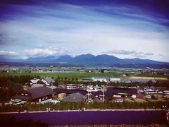-富田农场
