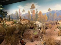 -陕西自然博物馆