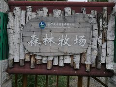-莫尔道嘎国家森林公园