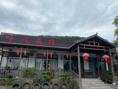 -呼吸森林·生态农庄农家乐私房菜