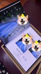 -韩慕婚纱摄影(九亭店)