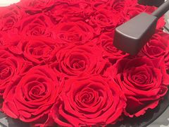 -ROSEONLY诺誓(磐基中心店)