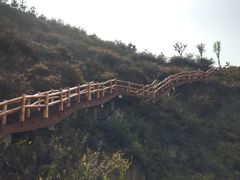 -五龙城郊森林公园
