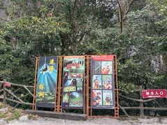 -百色大石围天坑群