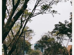 -四川大学(望江校区)