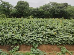 -盘龙城遗址博物院