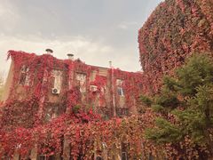 -辽宁大学(崇山校区)