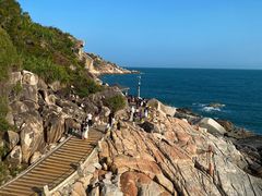 -广东惠东海龟国家级自然保护区