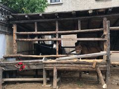 -清风小镇闯关东影视基地