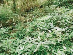 -中国铁路上海局集团有限公司杭州职工培训基地