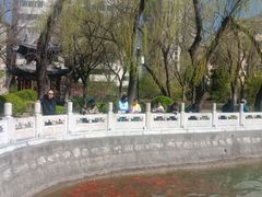 -迎泽公园