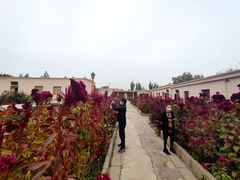-库车王府