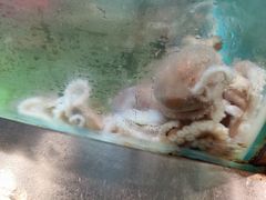 -V-ONE西雅图海鲜自助餐厅(仓山万达广场店)