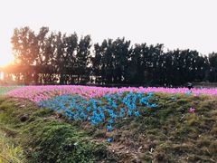 -海上田园