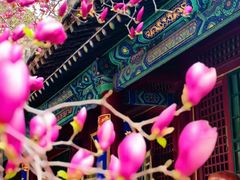 -潭柘寺景区