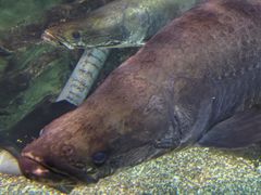 -太平洋海底世界