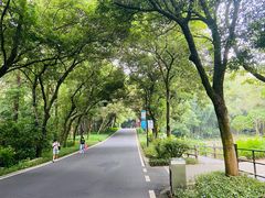 -广州市白云山风景名胜区