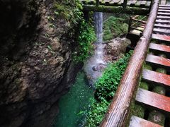 -青城山