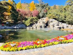 -香山公园