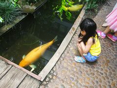 -Fern Forest Cafe