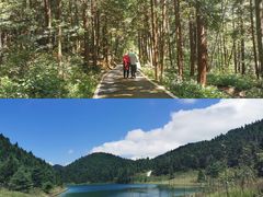 -武陵山森林公园