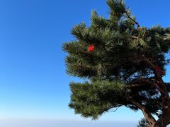 -泰山风景名胜区