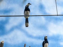 -杭州野生动物世界