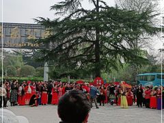 -西安市长乐公园