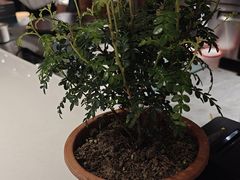 -小桃红·东北菜·春饼烤鸭(南阳湖街店)
