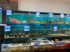 水产区-南海渔家•海鲜•正宗海南菜(海棠湾店)