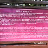 成都市都江堰市青城山景区打卡攻略