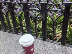 -COSTA COFFEE(上海虹口公园店)