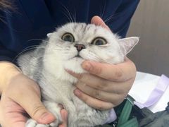 -派特宠物医院(圆融广场店)