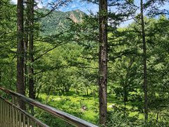 -白草畔自然风景区