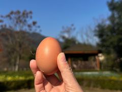 -青城山六善酒店·紫氣園中餐厅