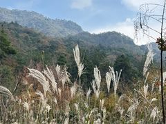 -浙西天池景区
