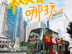 -Big Bus Tours 敞篷观光巴士
