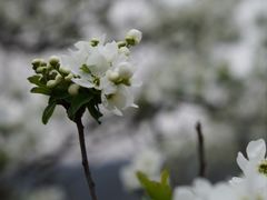 -木兰云雾山