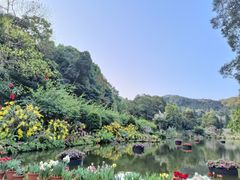 -深圳仙湖植物园