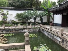 -上海醉白池公园