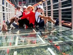 -九龙江国家森林公园