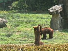 -杭州野生动物世界