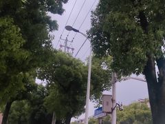 -水香园·中国徽菜名店(紫霞大道店)