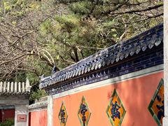 -潭柘寺景区