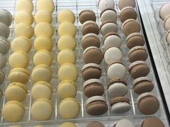 -BLACKSWAN黑天鹅(环球店)