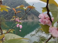 -乌江画廊(彭水苗族土家族自治县)