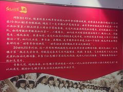 -三亚红色娘子军演艺公园景区