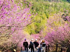 -天台山赤城山景区