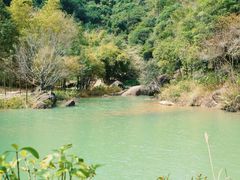 -广州白江湖森林公园