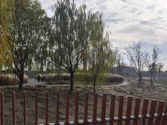 -上海滨江森林公园